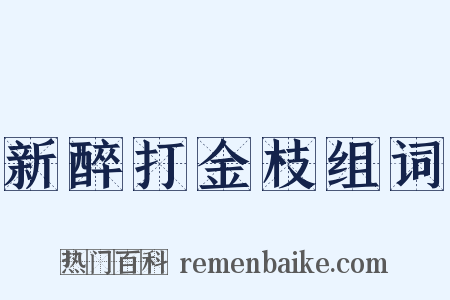 新醉打金枝组词是什么意思的图片